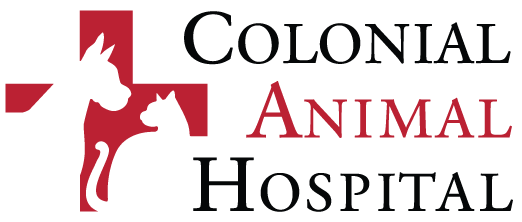 Colonial Animal Hospital